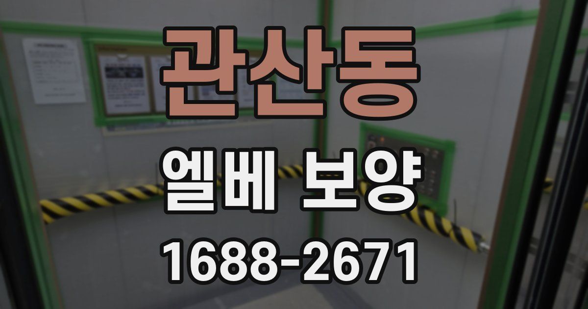 관산동 엘베 보양