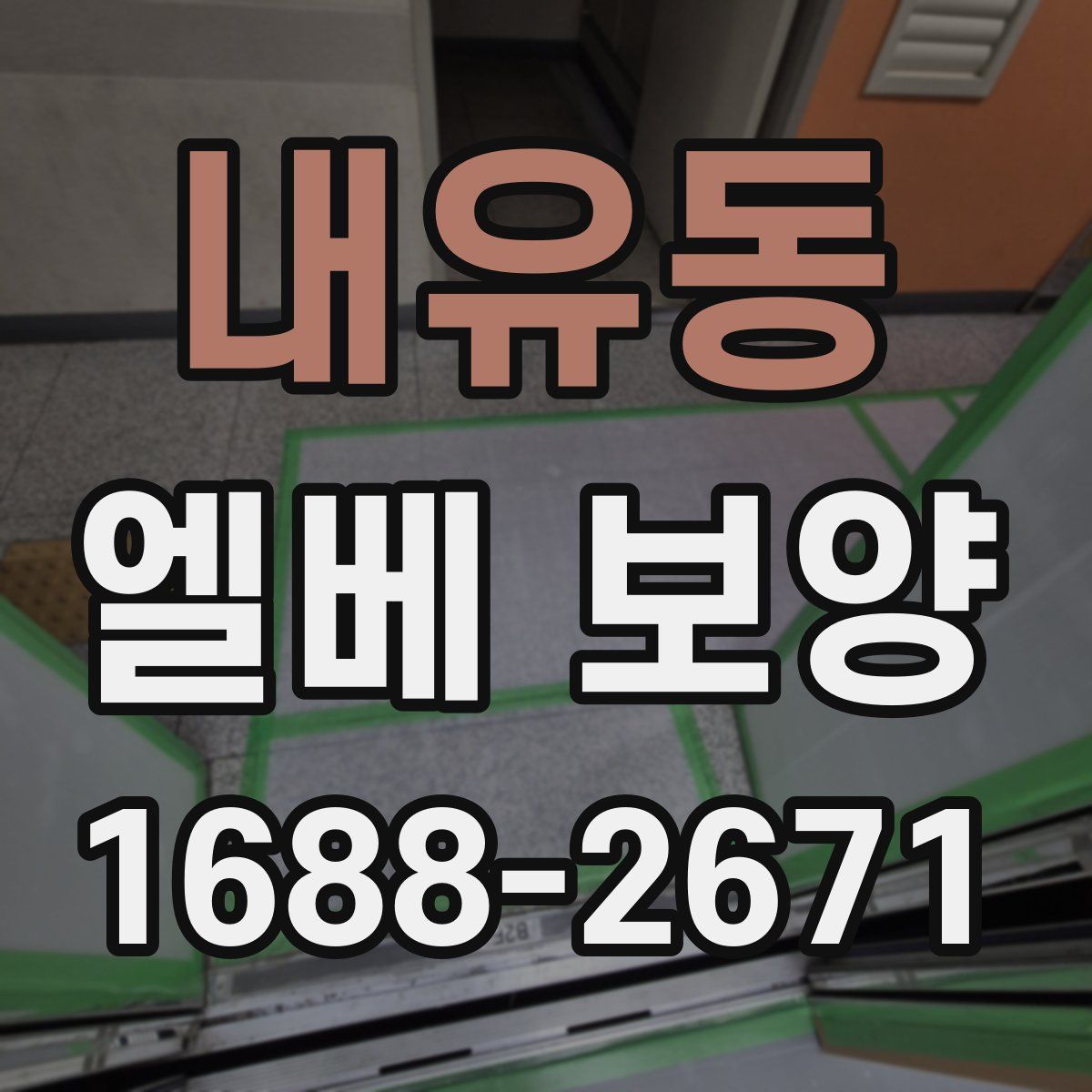 내유동 엘베 보양