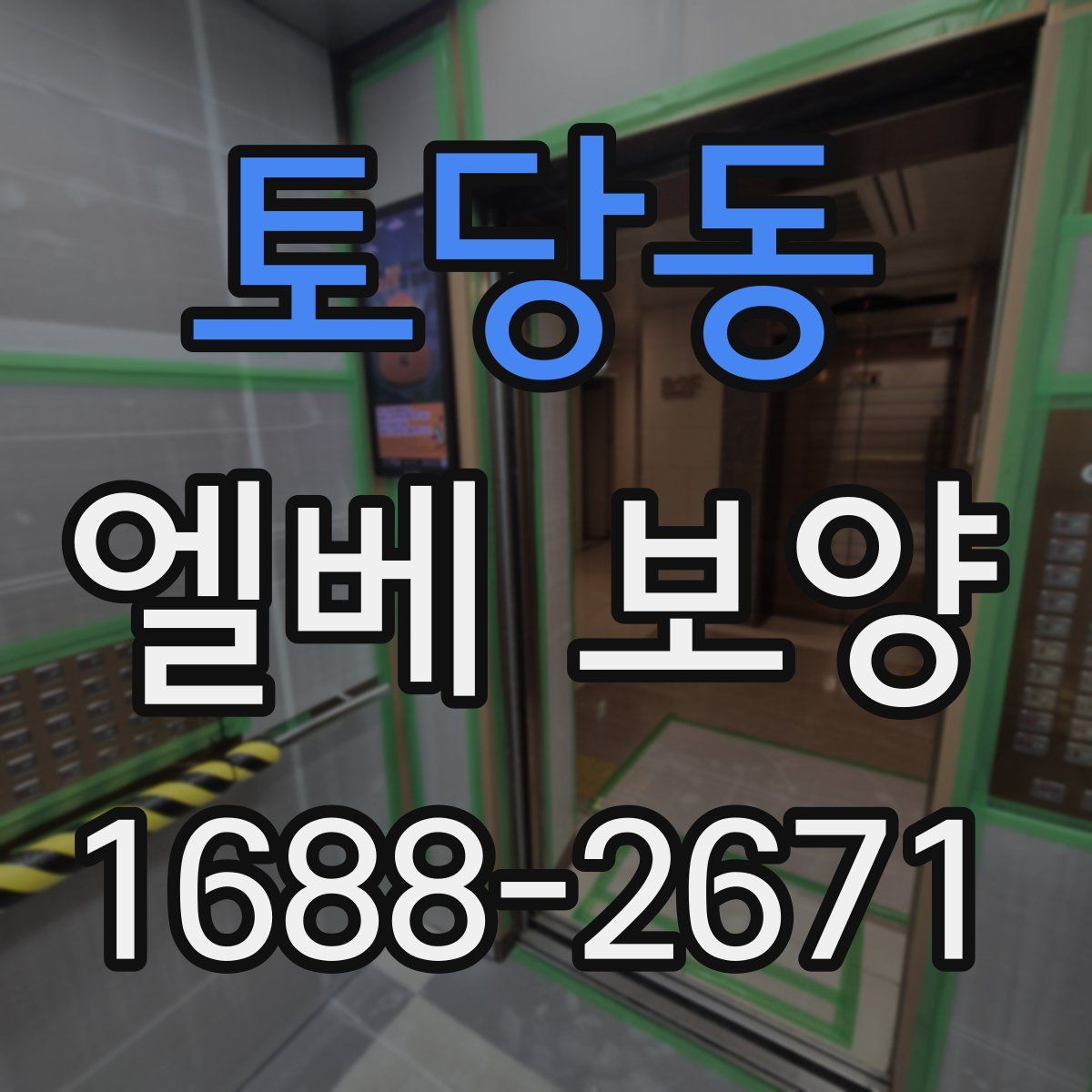 토당동 엘베 보양