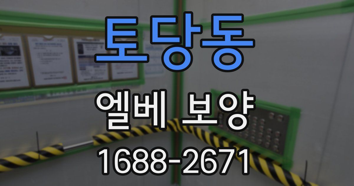 토당동 엘베 보양