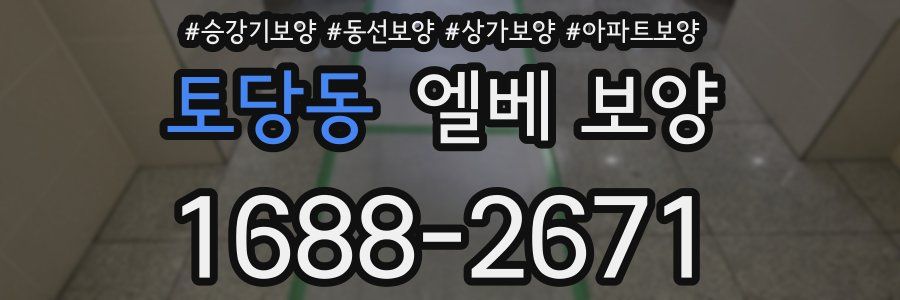 토당동 엘베 보양