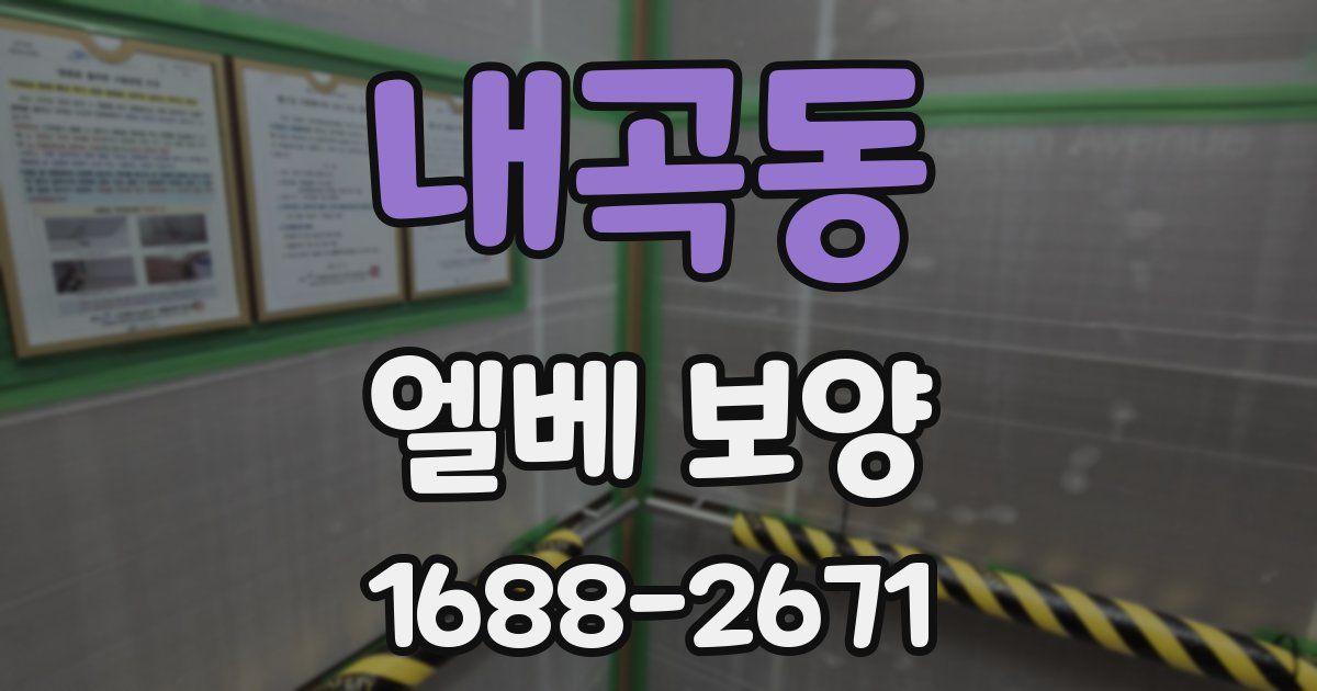 내곡동 엘베 보양