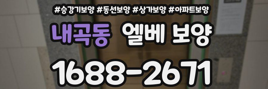 내곡동 엘베 보양