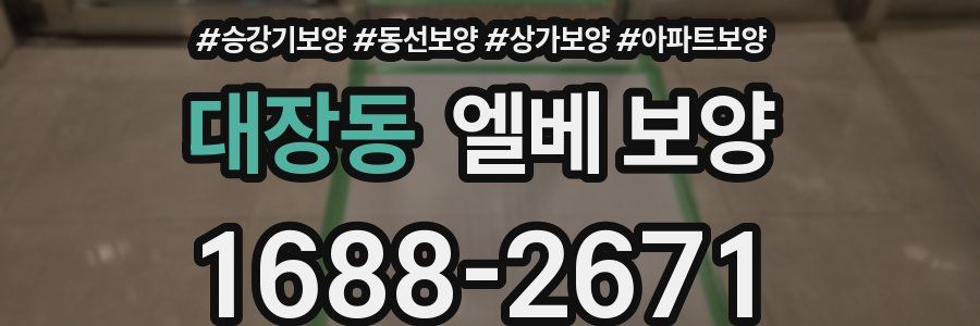 대장동 엘베 보양