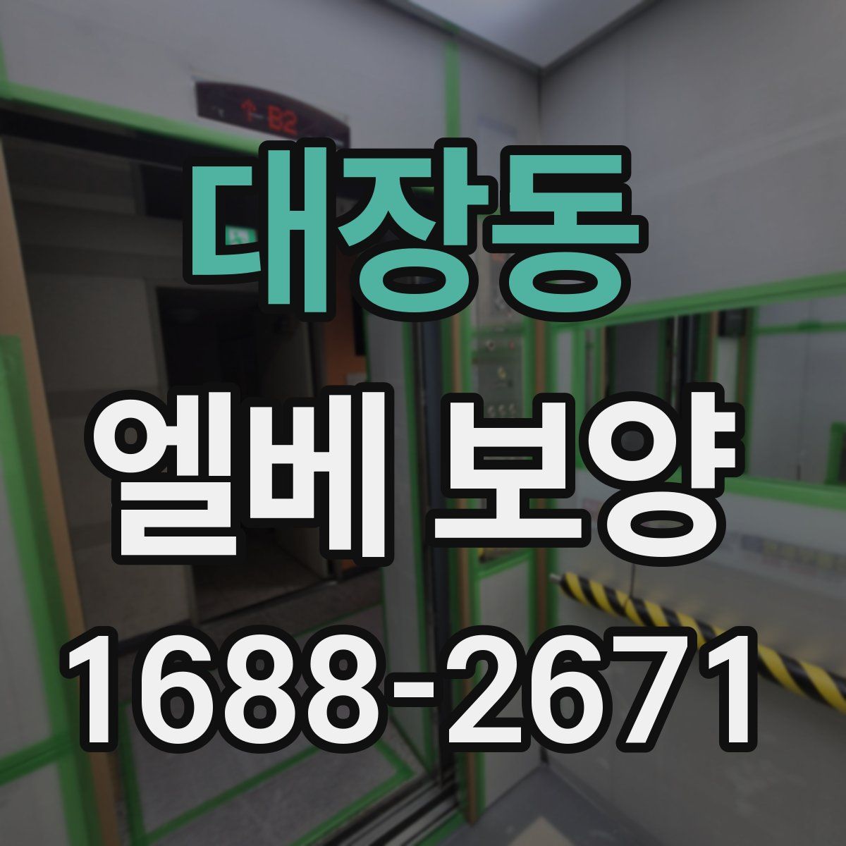 대장동 엘베 보양