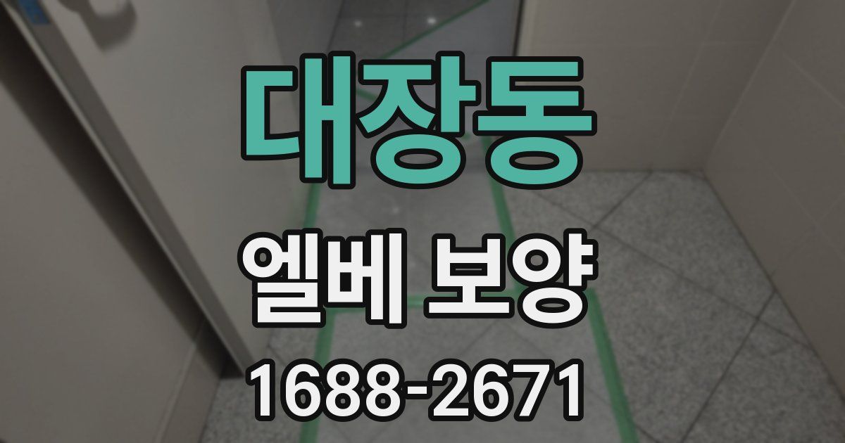 대장동 엘베 보양