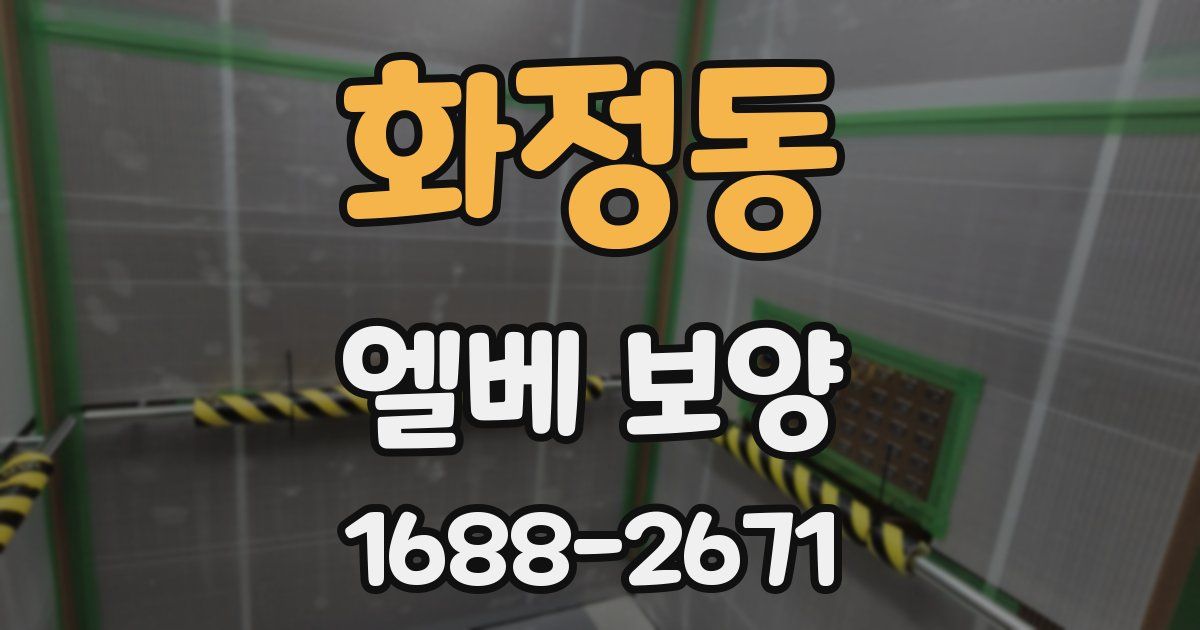 화정동 엘베 보양