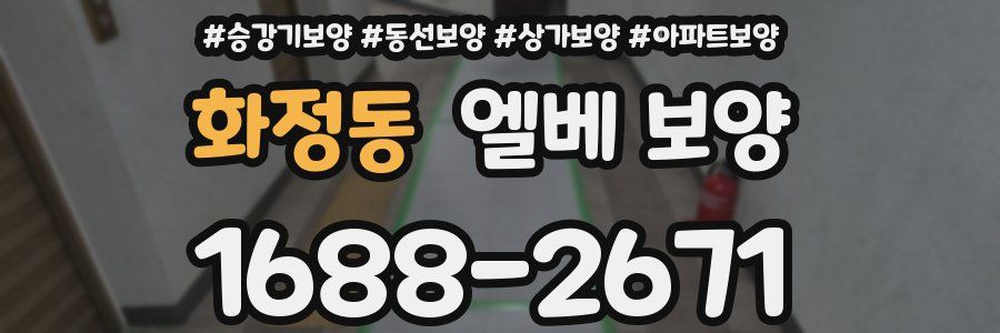 화정동 엘베 보양