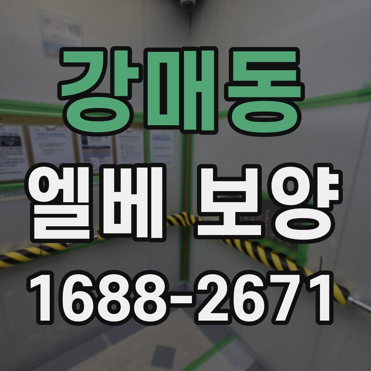 강매동 엘베 보양 현장별 보호 범위와 순서가 달라지는 이유