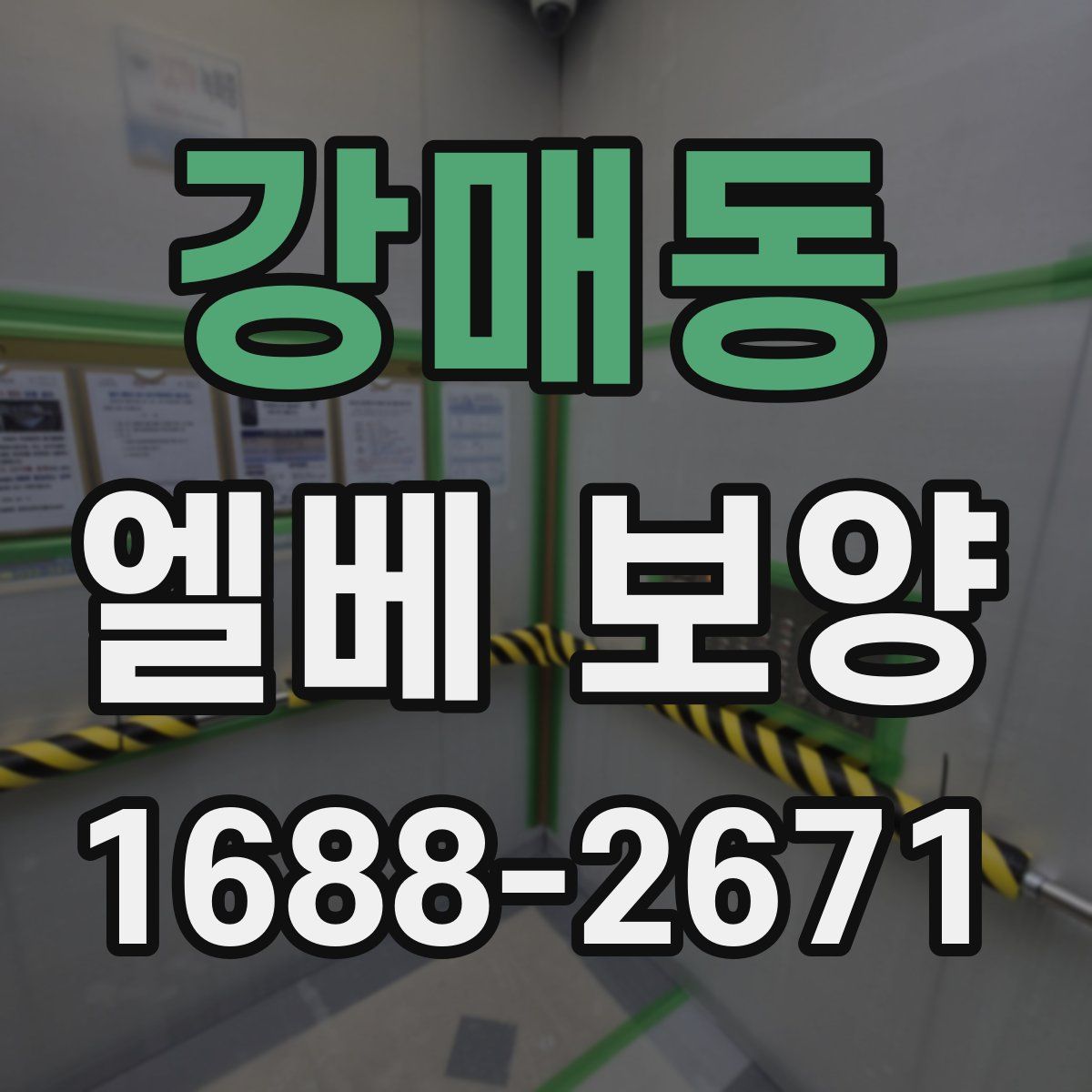 강매동 엘베 보양