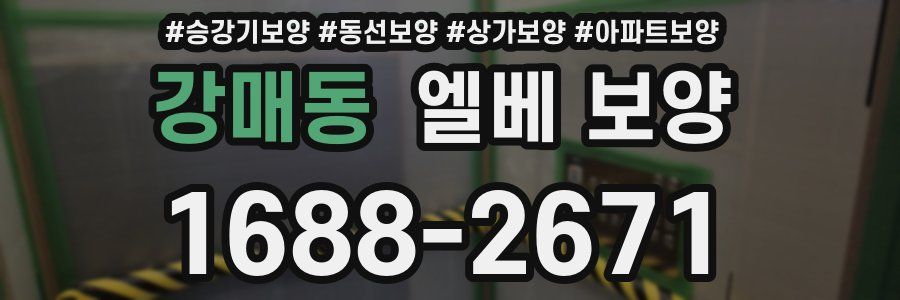 강매동 엘베 보양
