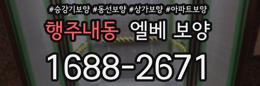 행주내동 엘베 보양