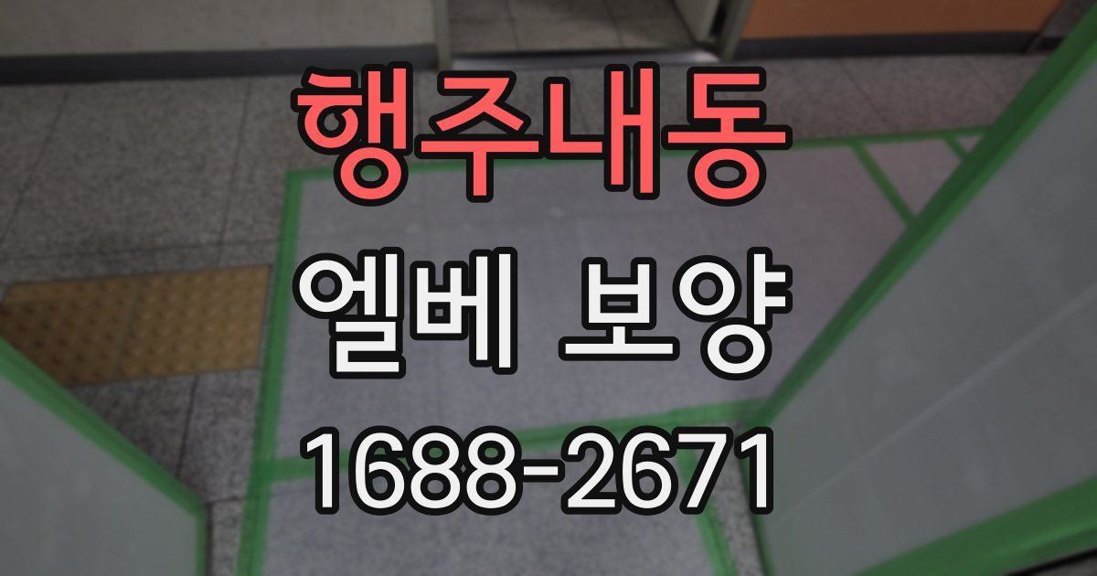 행주내동 엘베 보양