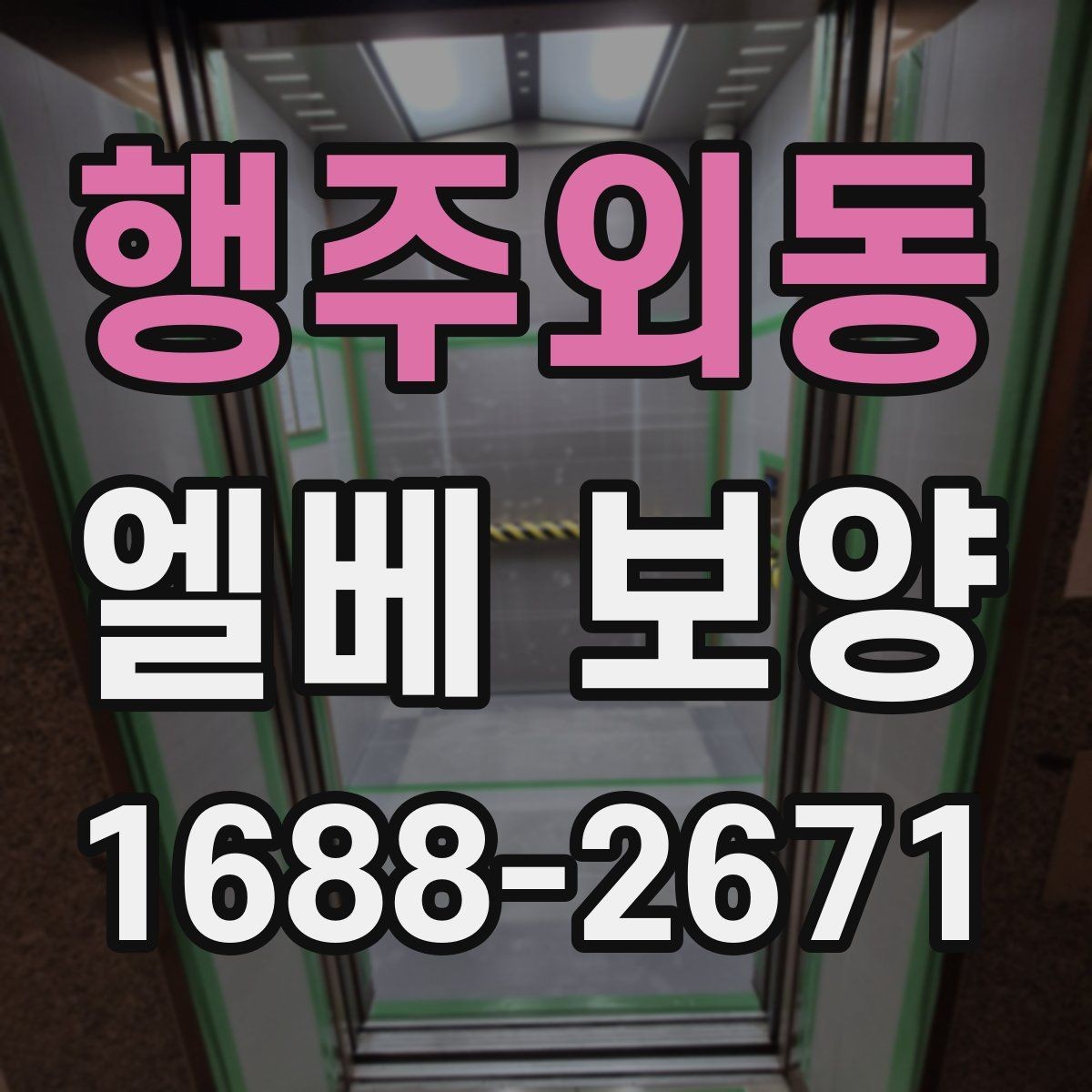행주외동 엘베 보양 현장별 맞춤 인력 배치와 운영 포인트