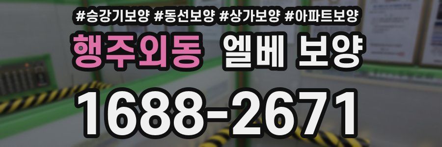 행주외동 엘베 보양