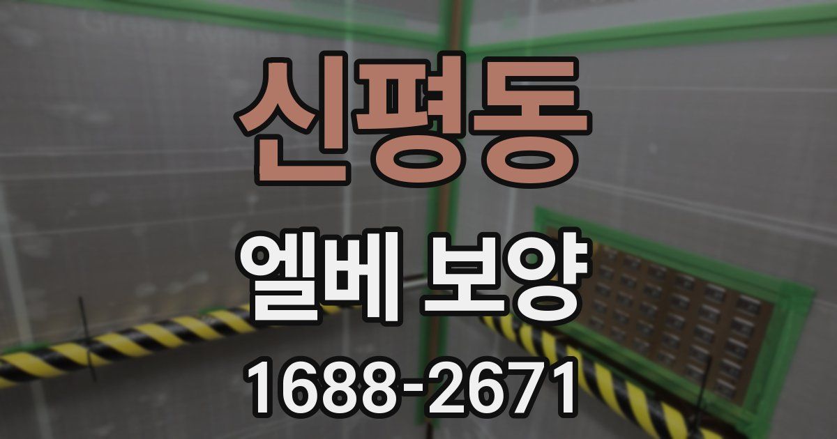 신평동 엘베 보양