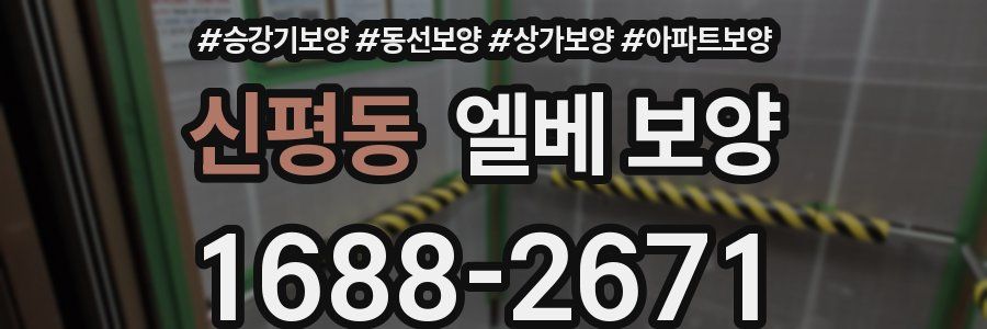 신평동 엘베 보양