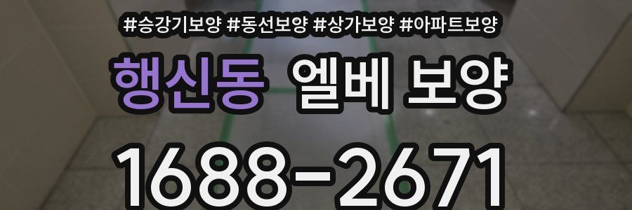 행신동 엘베 보양