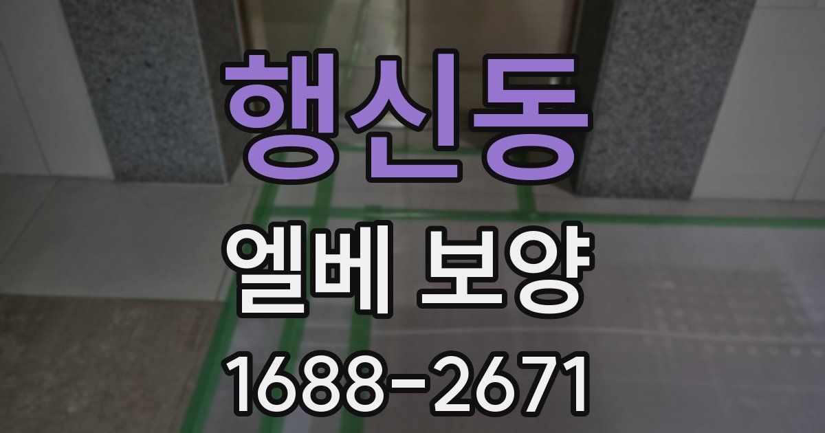 행신동 엘베 보양