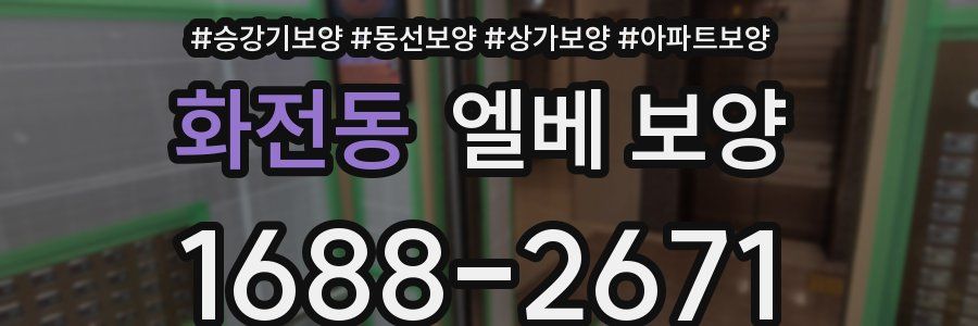 화전동 엘베 보양