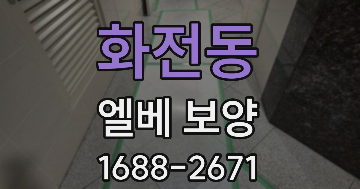 화전동 엘베 보양
