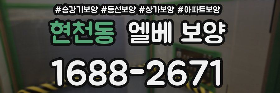 현천동 엘베 보양