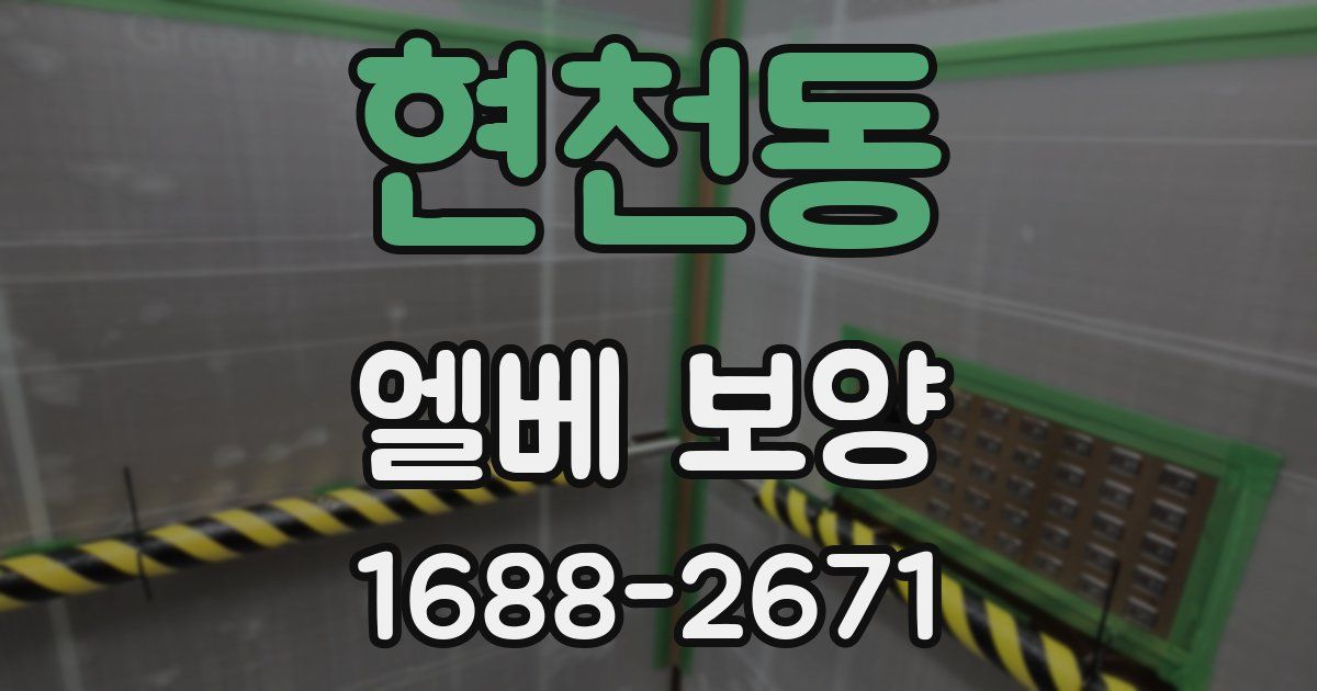 현천동 엘베 보양