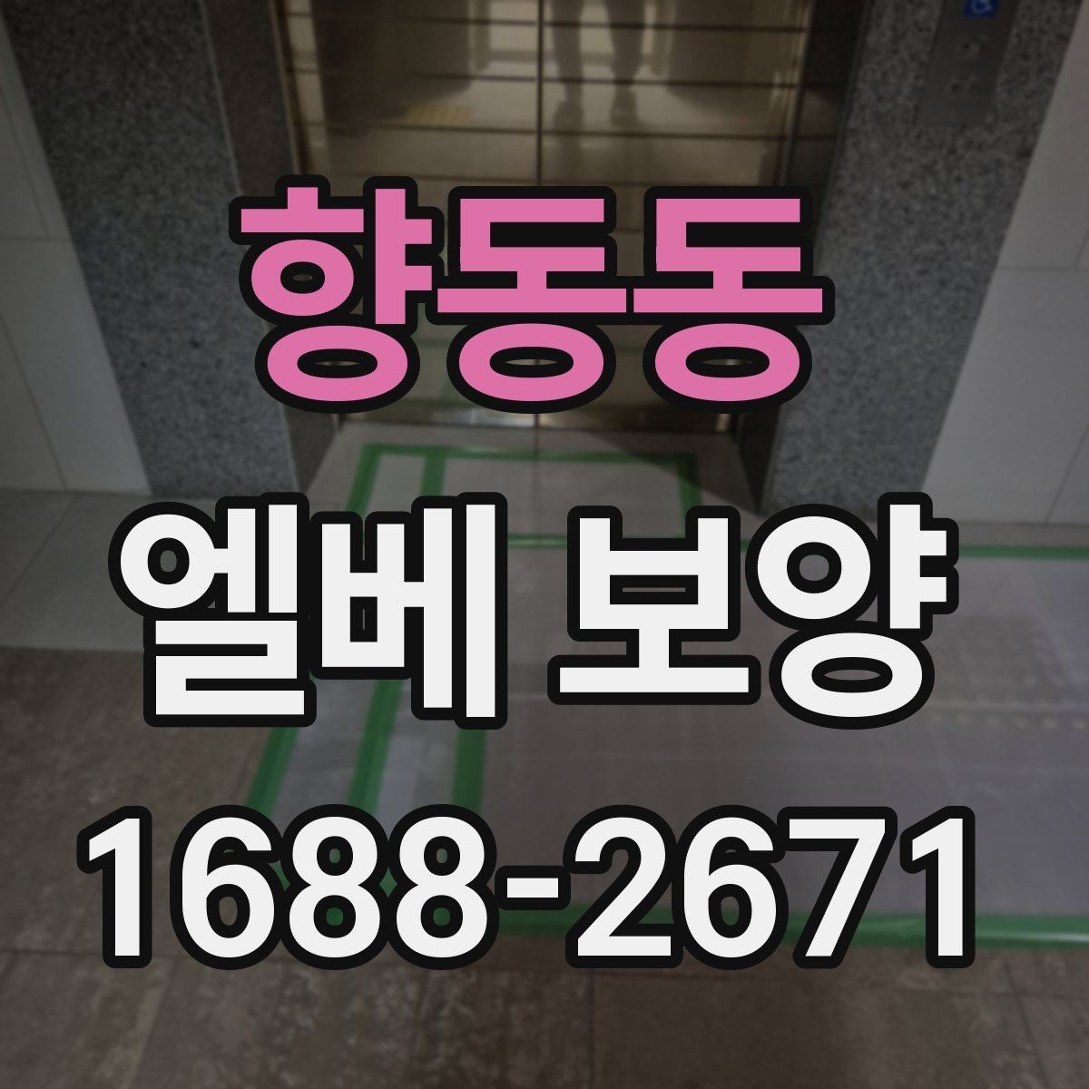 향동동 엘베 보양 승강기 내부 마감 손상을 막는 실무 포인트