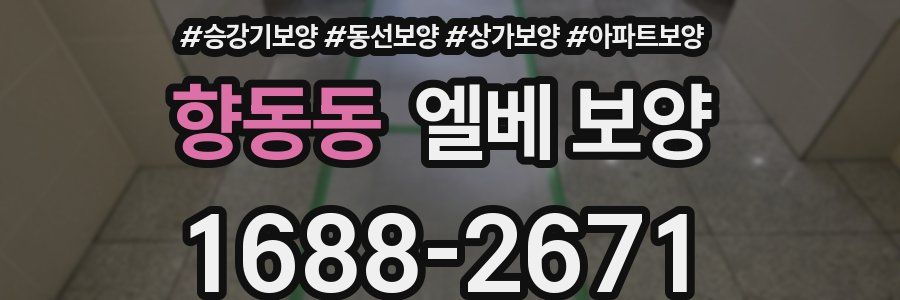 향동동 엘베 보양