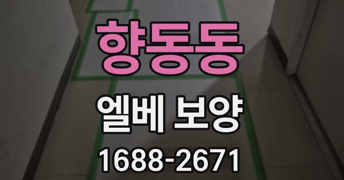 향동동 엘베 보양