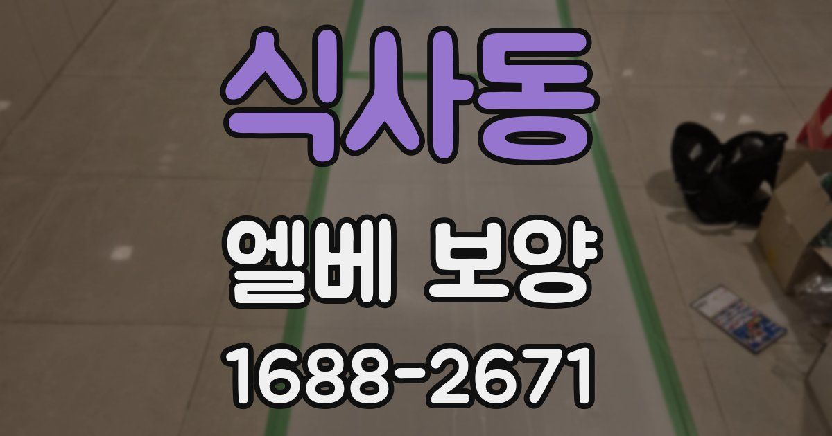 식사동 엘베 보양