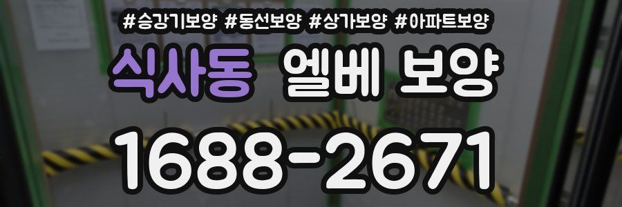 식사동 엘베 보양