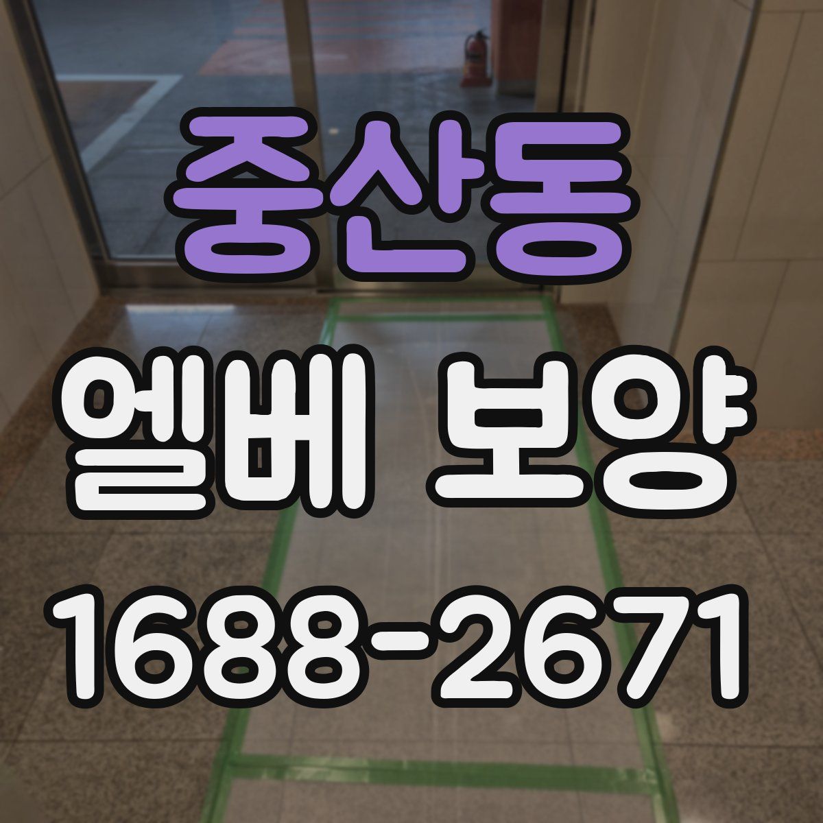 중산동 엘베 보양