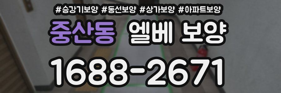 중산동 엘베 보양