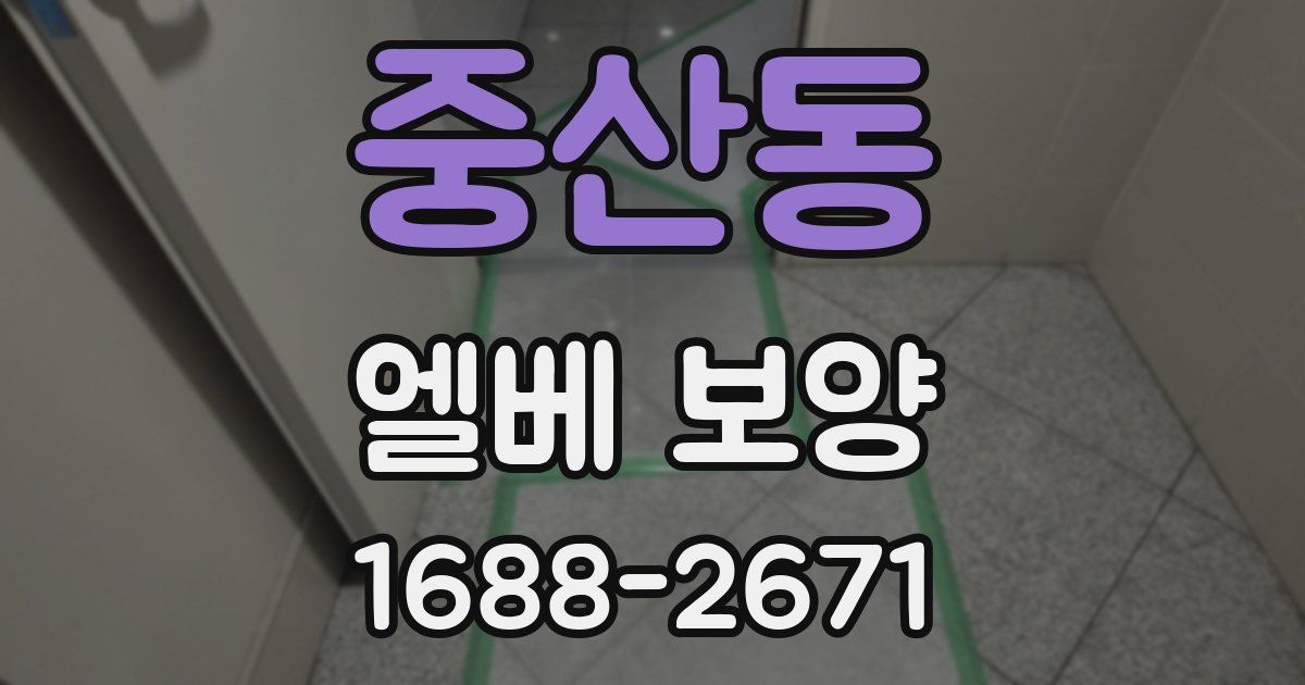 중산동 엘베 보양