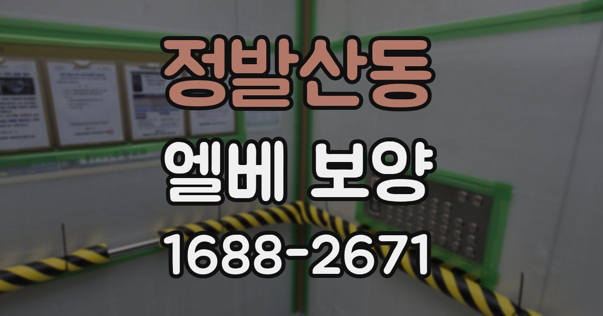 정발산동 엘베 보양