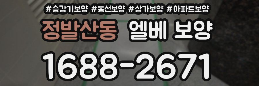 정발산동 엘베 보양