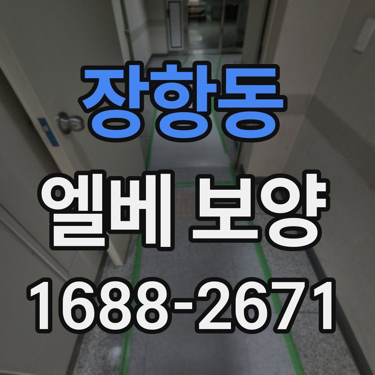 장항동 엘베 보양 보행자 왕래가 많은 아파트 관리 요령