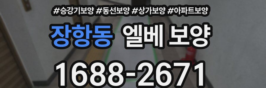 장항동 엘베 보양