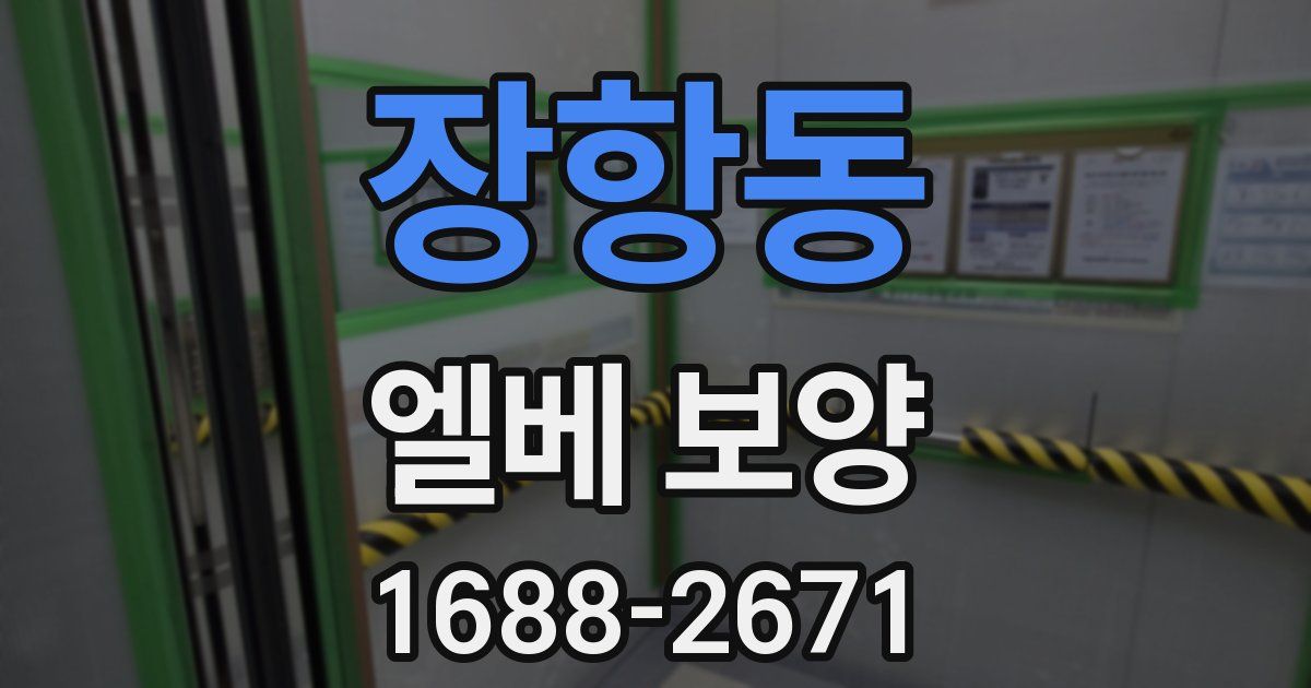 장항동 엘베 보양