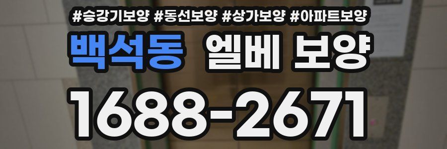 백석동 엘베 보양