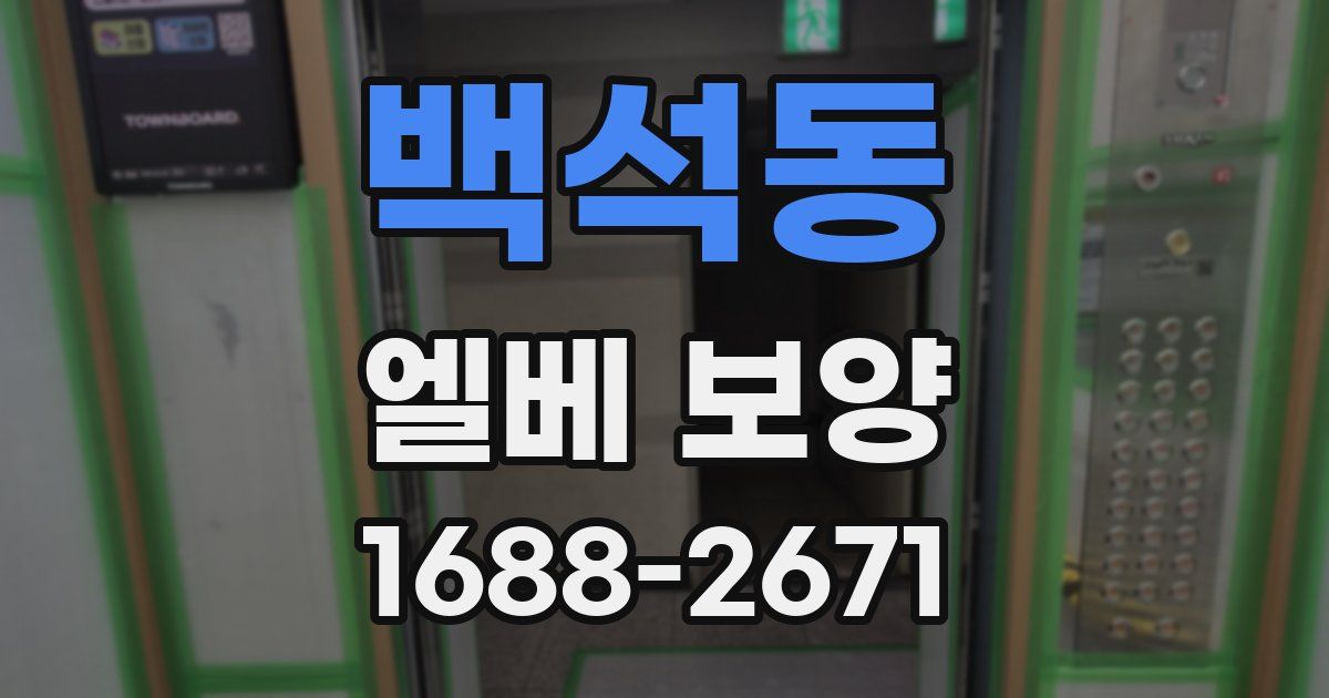 백석동 엘베 보양