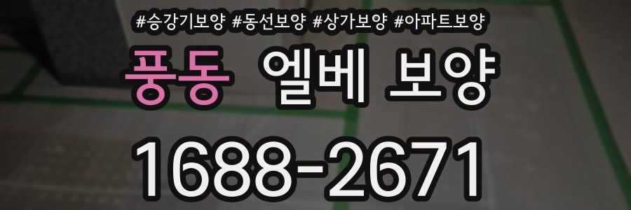 풍동 엘베 보양