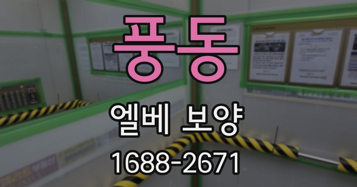 풍동 엘베 보양