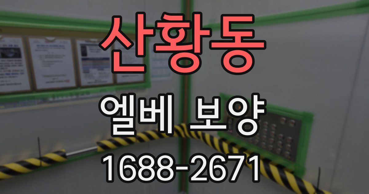 산황동 엘베 보양