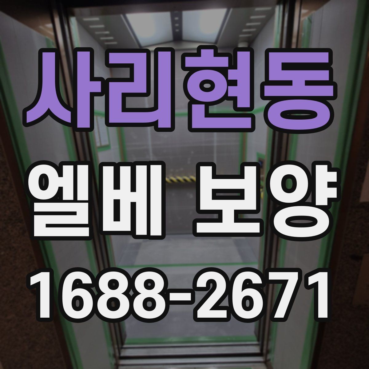 사리현동 엘베 보양 자재 선택부터 마감 확인까지의 흐름