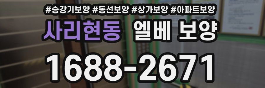 사리현동 엘베 보양