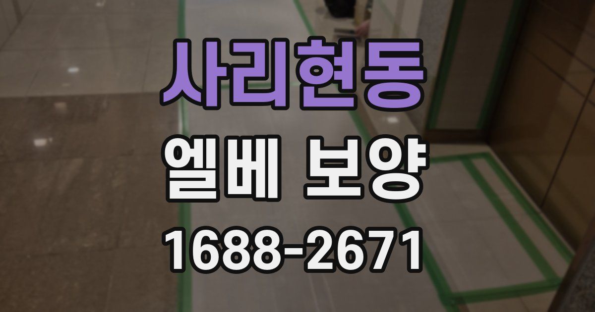 사리현동 엘베 보양