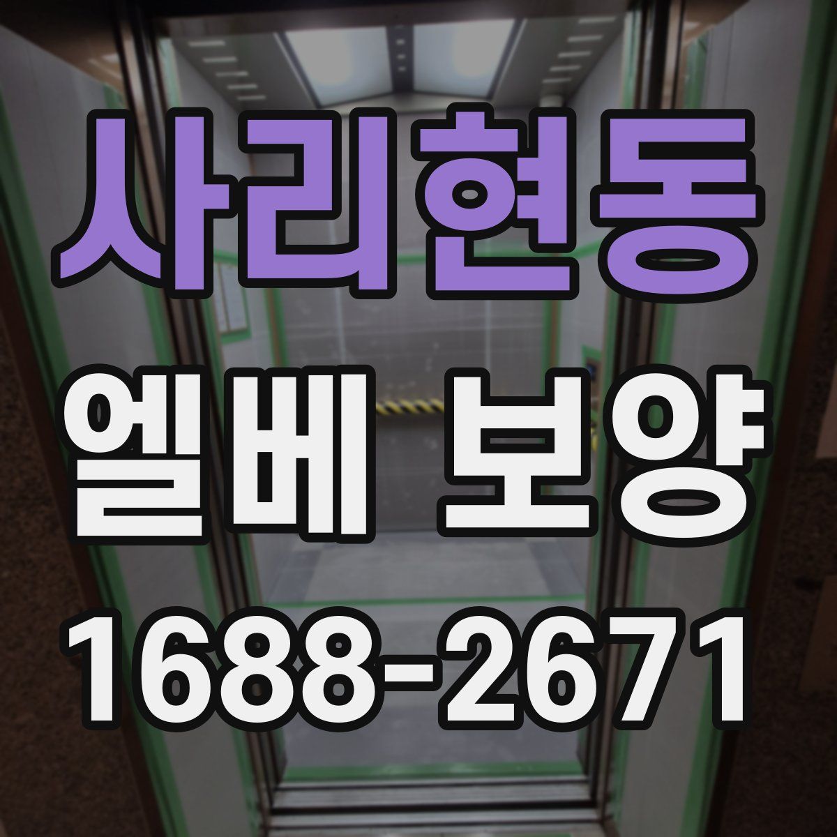 사리현동 엘베 보양