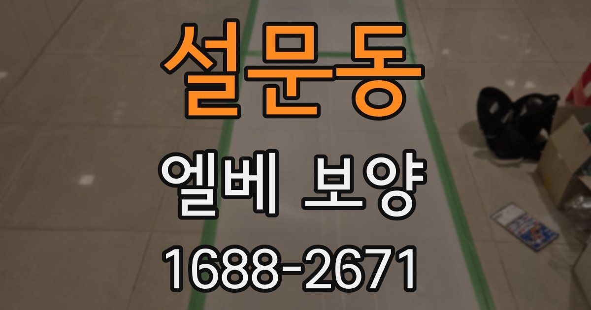 설문동 엘베 보양